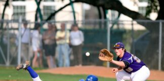 The Art Of Catching – A Guide To Mastering The Baseball Catcher Position