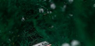 Tips For Flirting On Dating Apps