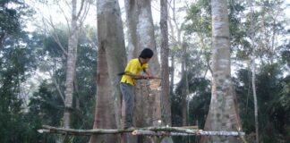 Do These Residents of the Bolivian Amazon Hold the Secret to Brain Health?