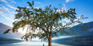 The 7 Roots of Resilience