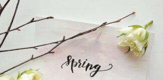 20 Things To Look Forward To Now That Spring Has Sprung