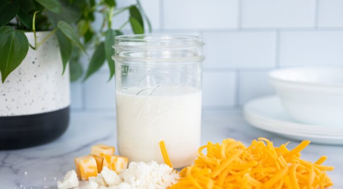 Are Milk and Dairy Healthy?