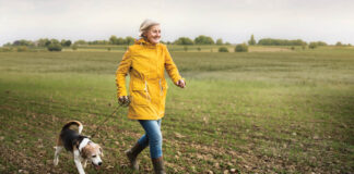 How to Care for An Aging Pet