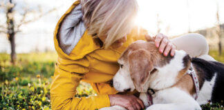 How to Say Goodbye to a Pet