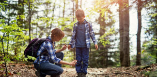 How Climate Change is Contributing to the Spread of Vector-Borne Illnesses — and How to Protect Yourself