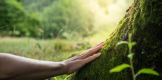 Uncovering the Illusion of Separation