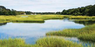 How Clean Is Treated Wastewater?