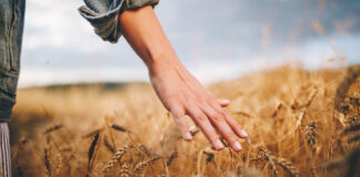 Can Trauma Foster Personal Development?