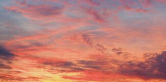 5-Minute Meditation to Help You Take Pause