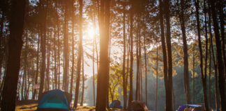 7 Camping Benefits for Health & Circadian Rhythm