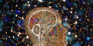 How Problematic Protein TDP-43 Is Wreaking Havoc In the Brain