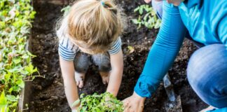 The Lessons Our Moms Teach Us