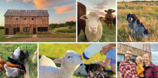 Consider Agritourism for Your Next Vacation