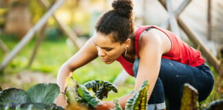 I Swapped Workouts for Yard Work