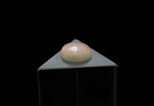 How They Can Benefit Your Health