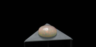 How They Can Benefit Your Health