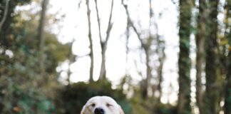 Recognizing The Interplay Between Mental And Physical Wellbeing