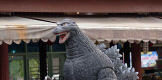 How Godzilla Has Spawned A Massive Fanbase