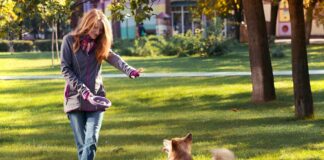 The Importance Of A Puppy Trainer