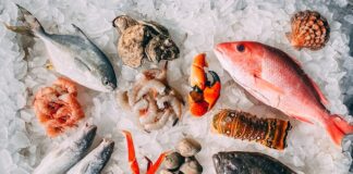 Why Seafood Is A Healthy And Tasty Option For Your Next Meal: Exploring The Benefits