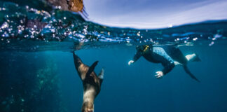 5 Strategies for Becoming a More Conscious Traveler