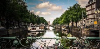 Your AAIC 2023 Guide: Healthy Options to Eat, Drink, Explore in Amsterdam