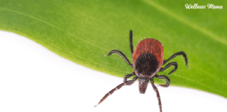 What it is and Natural Treatments