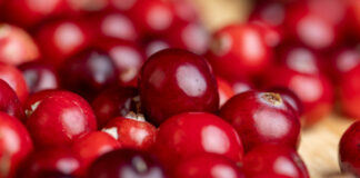 What Are the Health Benefits of Cranberries?