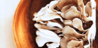 Maitake Mushroom Benefits (and Why You Need It!)