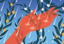 The Promise of Permeability