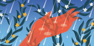 The Promise of Permeability