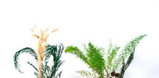 Top 15 Tips For A Sustainable Holiday Season