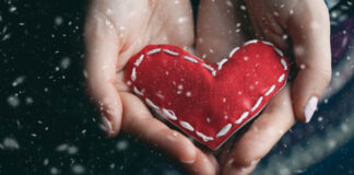 Charitable Gift Ideas for Your Loved Ones