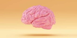 How to Donate Your Brain to Science: For Dementia Families, It’s a Complex Process