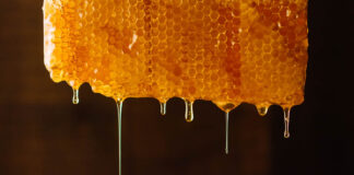 How to Find Real Honey, Coffee, Extra-Virgin Olive Oil, Parmesan Cheese, and Maple Syrup