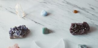 Everything You Need To Know