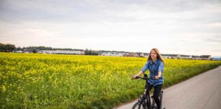 A Comprehensive Guide To E-Bikes Popularity