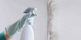 A Guide To Tackle Mold Issues