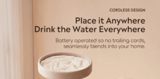 Outdoor Activities Enhanced By Buying A New Cat Water Fountain