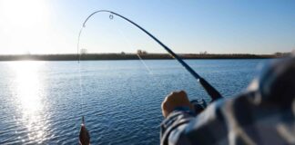 Exploring Gear And Techniques For Enhanced Fishing Experiences