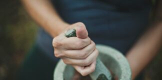 Harnessing The Power Of Nature With Kratom And Other Healing Plants