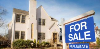 Urban Living vs. Suburban Bliss