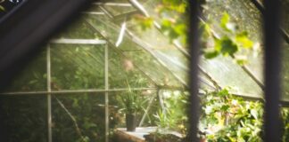 The 3 Essential Tips For Using A Greenhouse For Your Garden