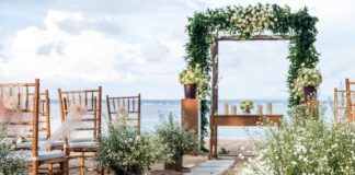 Why Decorative Equipment Hire Is Outshining Traditional Purchases