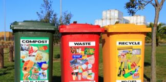 What Does Waste Management Entail And Why Is It Significant?