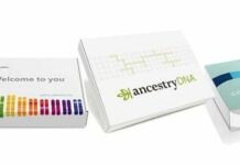 What Does ApoE4 Mean for Your Alzheimer’s Risk?