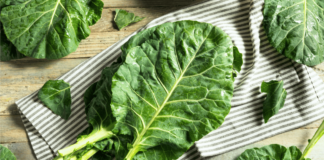 The Amazing Benefits of Collard Greens