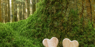 Why Opt For a Green Burial?