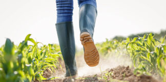 How Soil Health Is Connected to Human Health — and So Much More