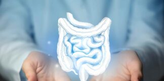 Exploring The Impact Of Gut Health